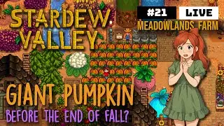Growing a GIANT Pumpkin in Stardew Valley &ndash; Fall Farming Challenge - SDV LIVE with Cozy Vibes