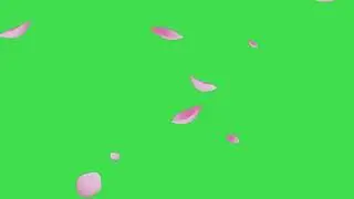 FLOWER FALLING GREEN SCREEN EFFECT VIDEO