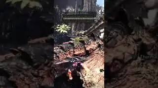 Meisterrang Rathalos looten 💪