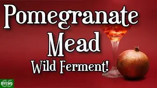 Wild Fermentation Pomegranate Mead
