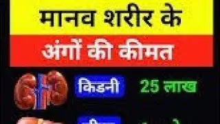 All Exam classes by RK Academy24 , CTET exam cdp marathon, EVS NCERT complete marathon and pedagogy