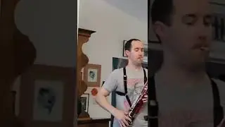 Bassoon practice interrupted by cat!!