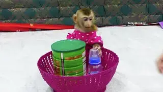 Zuji So S a d When Got Milk Alone