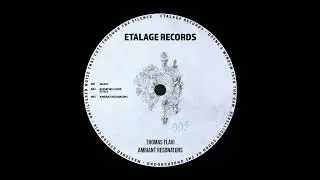 Thomas Flavi - Ambiant Resonators