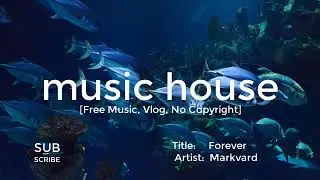 Forever - Markvard [Free Music, Vlog, No Copyright]