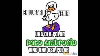#olapolar #uruguay #humor #memes #chistesdecanichevrolet