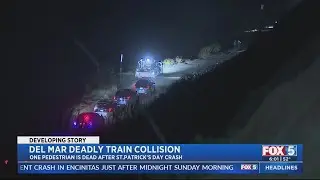 Pedestrian killed by train