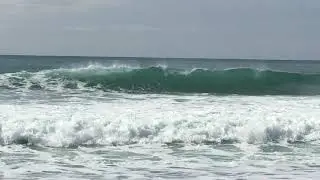 SURF AMADOR