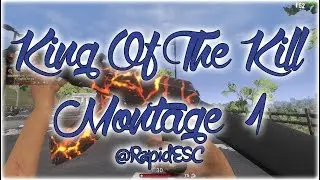 H1Z1 MONTAGE - STREAM HIGHLIGHTS