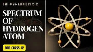 Spectrum of Hydrogen Atom - Class 12 Physics - Unit 26 Atomic Physics