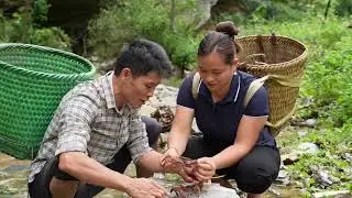 Harvesting Frogs & Crabs After Summer Rain to Sell at the Market | L&yacute; Thị Ca