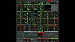 Case Studies (Video for the website)