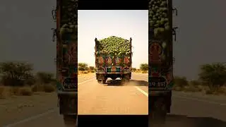 🍑 ASMR Surprise: Mango Avalanche on the Highway! 🚚💥