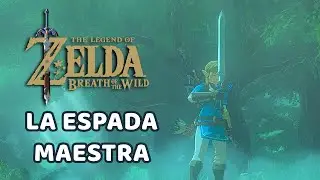Link encuentra 