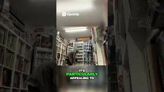 &laquo;На игле 2&raquo; и &laquo;Челюсти 4&raquo; &mdash; ужасные фильмы, которые стоит пропустить