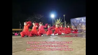 Στιγμιότυπα από την εκδήλωση για το άναμμα του Χριστουγεννιάτικου δέντρου στην Ερέτρια -1/12/2024