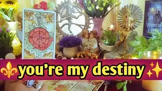 ❤☘️You're My Destiny☘️❤Current Feelings Next Action With Angel Guidance🧿Timeless Tarot Reading🌈
