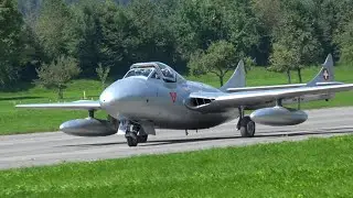 De Havilland Vampire and DH-115 Mk.55 Vampire - Formation Flight at Hunterfest Mollis