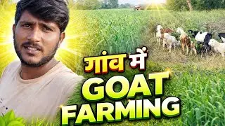 Goat Farming Vlog 🐐 | Daily Farm Life in India