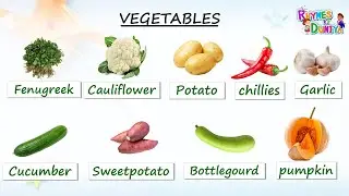 Vegetable Names with Pictures | Different Types of Vegetables | vegetables name in english | Kids