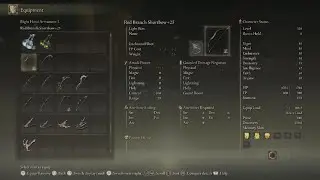 Elden ring fighting centipede dude w/ dung