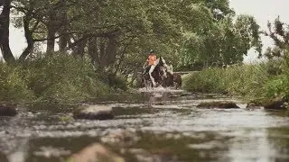 Ffilm Hyrwyddo Glynllifon / Glynllifon Promotional Film