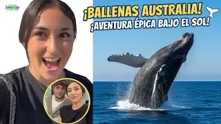 ¡INCREÍBLE! 🐳 Ballenas AUSTRALIA 🇦🇺: El Avistamiento MÁS ÉPICO (¡Aventura que TIENES que Ver!) 👀
