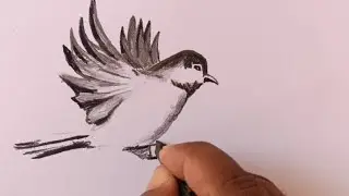 How to draw a beautiful flying bird drawing for beginners
