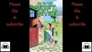 The Secret Seven Fun for the secret seven by Enid Blyton audiobook #15