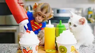 A Cool Treat Day! Monkey Lindo Makes Fruit Shaved Ice with White Kitten 🍧🐒🐱
