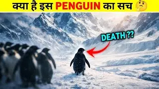 Viral Penguin Video Explained in Hindi | Penguin Mountain Documentary | Werner Herzog Penguin