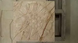 3d sofitel gold marble feature wall tile