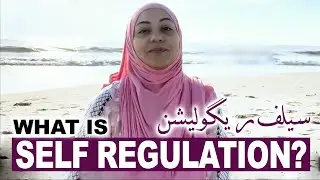 What is Self Regulation? | سیلف ریگولیشن کیا ہے؟ | Iram Bint Safia