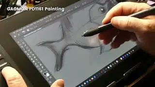 Unboxing the GAOMON PD1161 Drawing Tablet