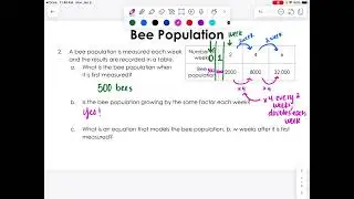 Bee Population