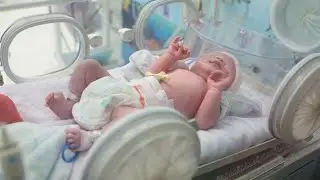 IDM Baby low blood sugar 🚼 New born baby care and management Tips/NICU Care🏥#nicu #baby #babycare 