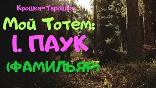 Мой Тотем:1.Тотемное Животное Паук (Фамильяр)Медитация(Крошка-Тарошка)