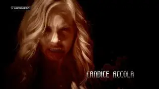 THE VAMPIRE DIARIES - 