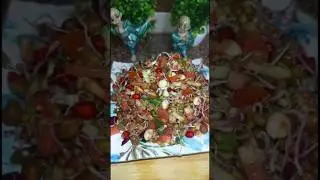 High Protein Sprouts Salad | Easy Protein Rich Vegetarian Recipe #shorts #salad