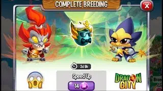 NEW BREEDING: High Star Dragon & High Amuka Dragon | DRAGON CITY 😍