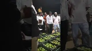 mango 🥭 open action #tumkurlocalnews #farmer #apmcmarket #tumkur market