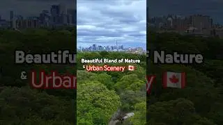Stunning 4K Drone Tour of High Park!