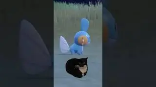 Give This Item To Your First Stage Pokemon