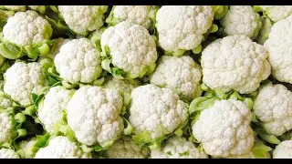 Cauliflower cabbage packing app by farmsoft