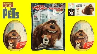 THE SECRET LIFE OF PETS SWEETS, GAMES + SURPRISES and SURPRISE EGGS Unboxing