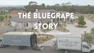 The BlueGrape Story