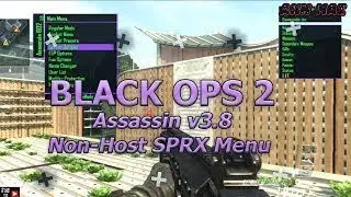 [Bo2/1.19] Assassin v3.8 Non-Host SPRX Menu