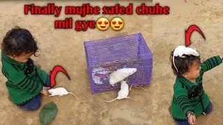 Finally mujhe safed chuhe mil gye😍😍!!white rat pet!! white rat price!! white rat price in india!!