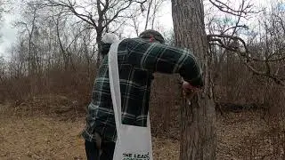 Setting Up Trail Camera Being Disabled