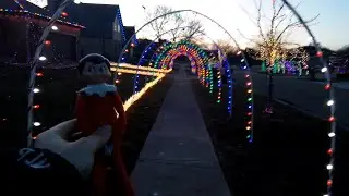 Chippy And The Everyday Everyday Elves Are Looking At Some Christmas Evening Lights🎄🎁